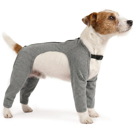 Dog wearing a gray Recovery onesie on a white background