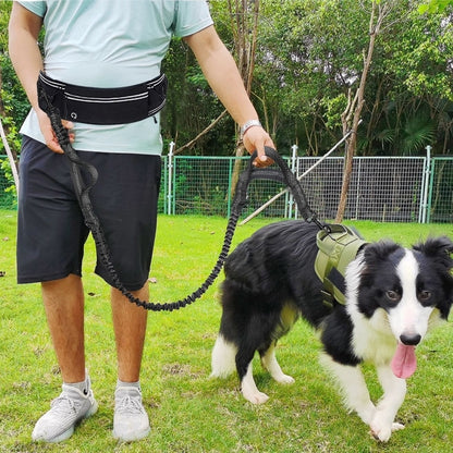 Hands-Free Dog Walking Belt with Shock-Absorbing Leash