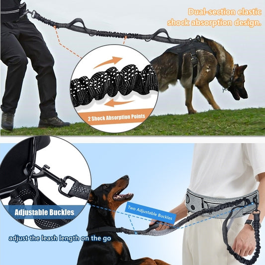 Hands-Free Dog Walking Belt with Shock-Absorbing Leash