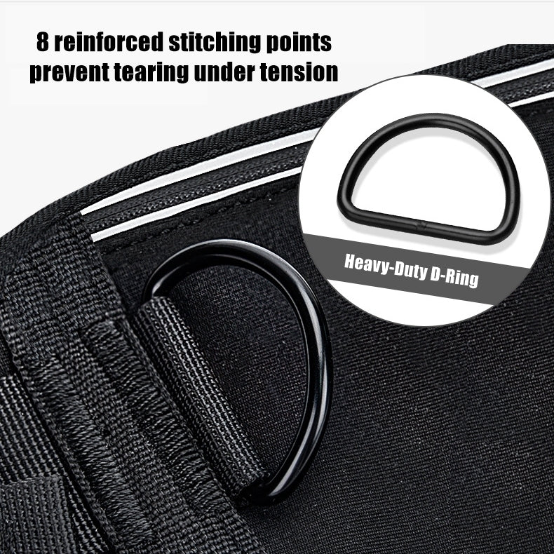 Hands-Free Dog Walking Belt with Shock-Absorbing Leash