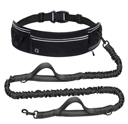 Hands-Free Dog Walking Belt with Shock-Absorbing Leash