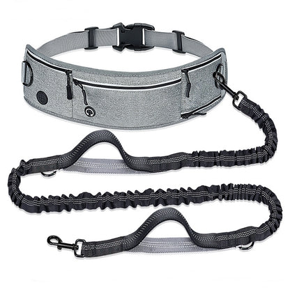 Hands-Free Dog Walking Belt with Shock-Absorbing Leash