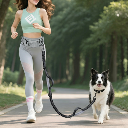 Hands-Free Dog Walking Belt with Shock-Absorbing Leash