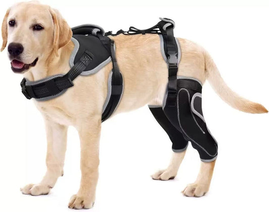 Knee Brace Harness for Dogs – Hind Leg Support with Removable Metal Splints