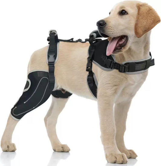 Knee Brace Harness for Dogs – Hind Leg Support with Removable Metal Splints