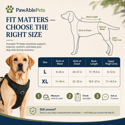PawAblePets dog harness size chart with a dog wearing a harness and measurement guide.