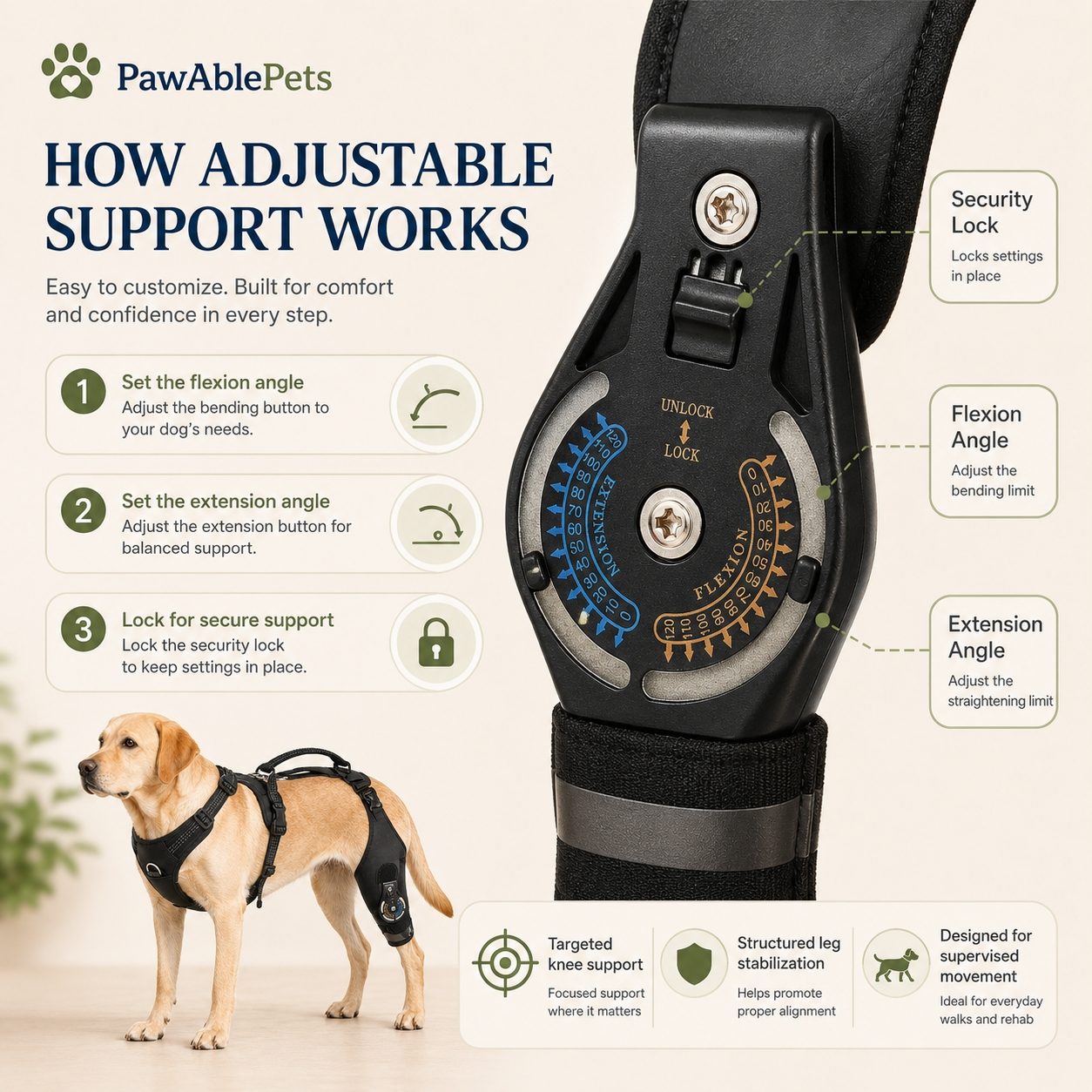 Dog wearing an adjustable support harness with a detailed explanation of how it works, branded as PawAblePets.