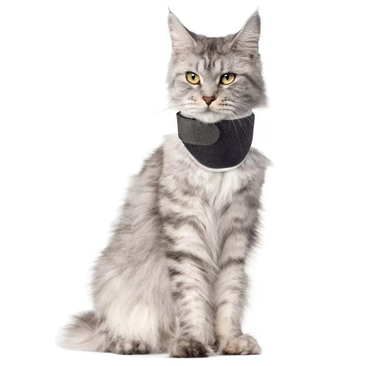 Neck Eco Brace for Cats