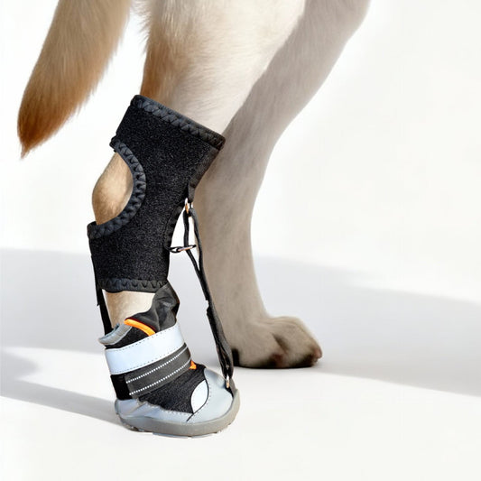 No Knuckling Dog Boot: Corrective Drop Foot Brace for Dogs Dragging Paws