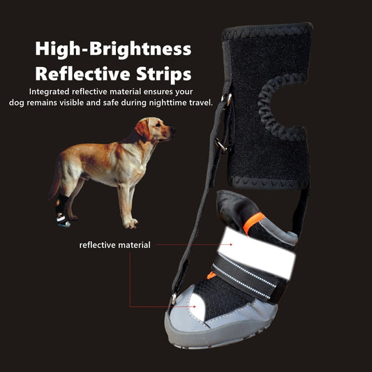 No Knuckling Dog Boot: Corrective Drop Foot Brace for Dogs Dragging Paws