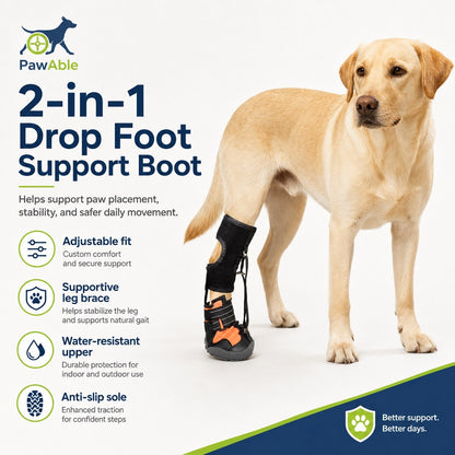 No Knuckling Drop Foot Brace for Dogs