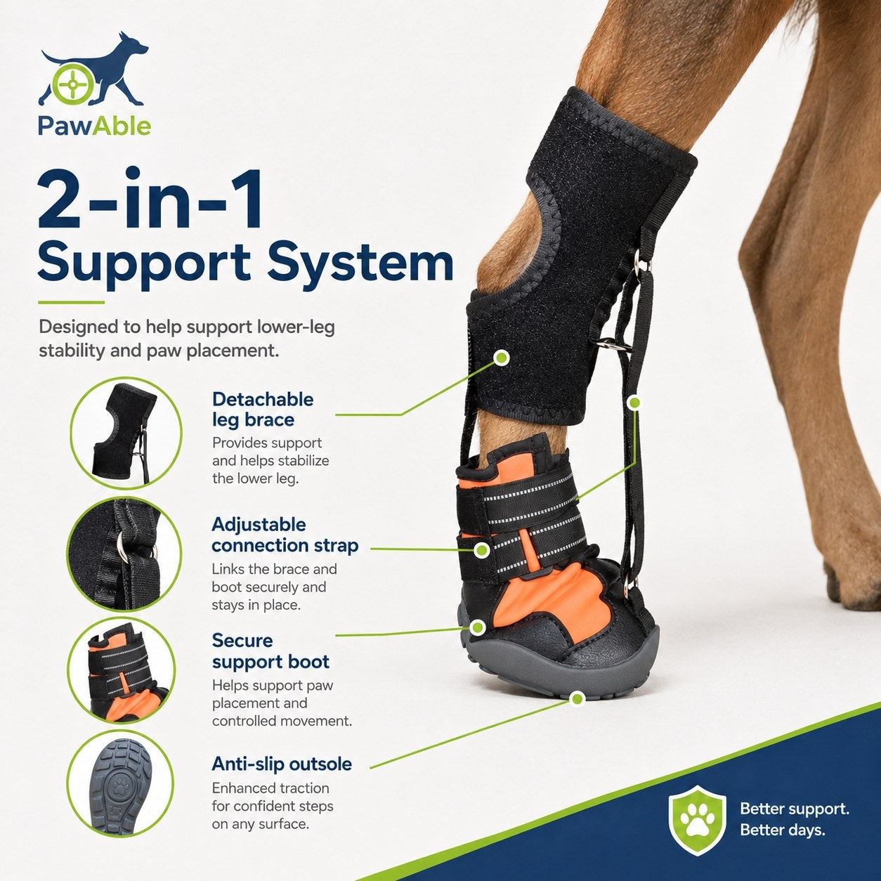 No Knuckling Drop Foot Brace for Dogs
