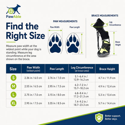 No Knuckling Drop Foot Brace for Dogs