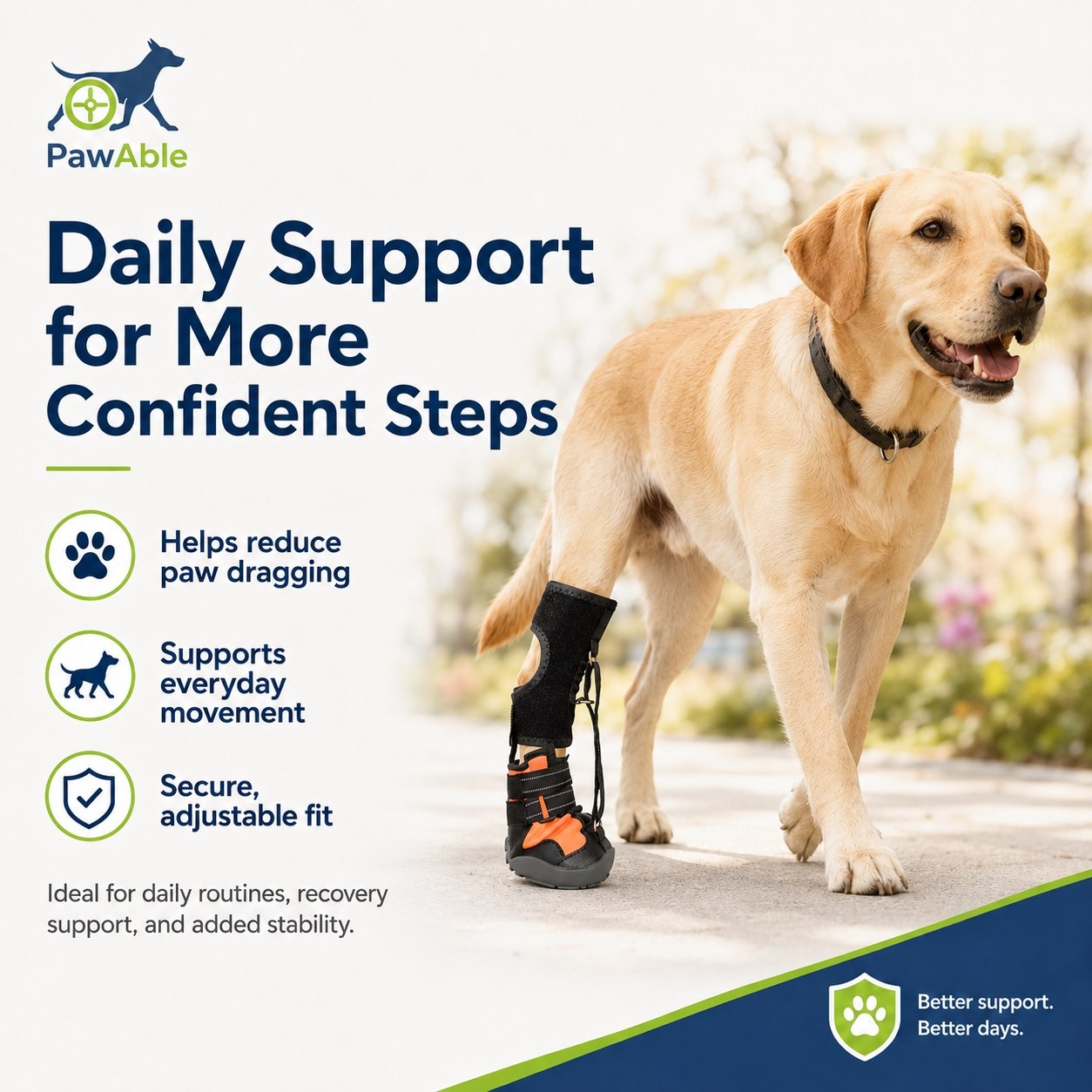 No Knuckling Drop Foot Brace for Dogs