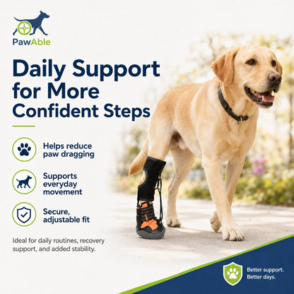 No Knuckling Drop Foot Brace for Dogs