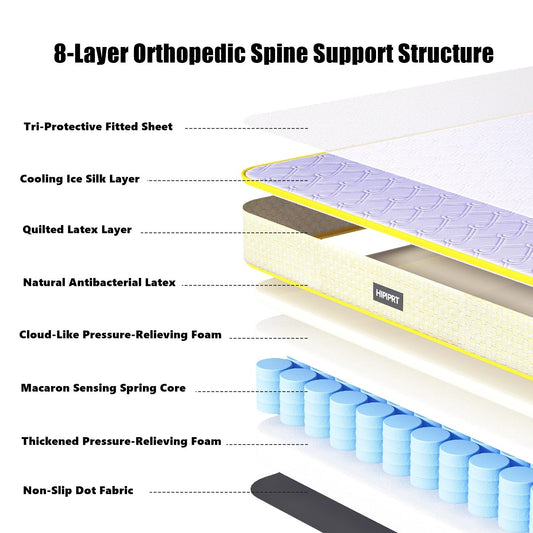 Orthopedic Latex Dog Bed with Cooling & Spine Support