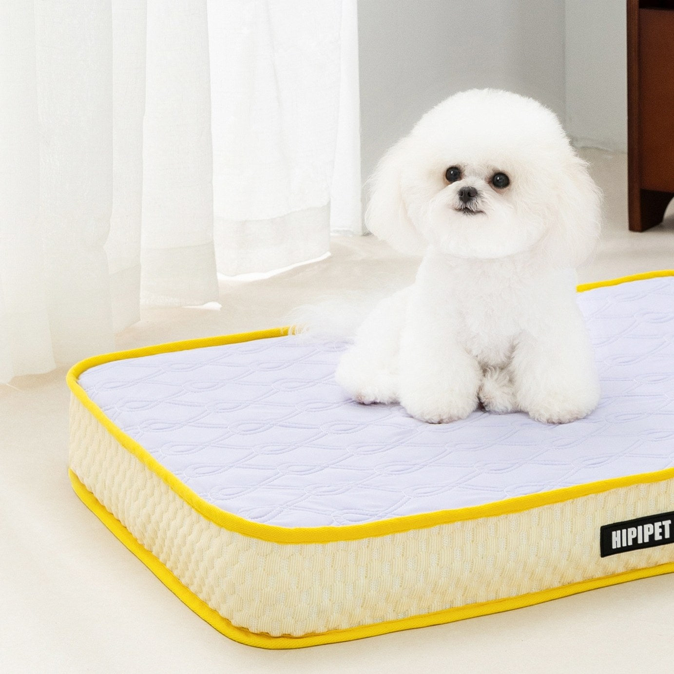 Orthopedic Latex Dog Bed with Cooling & Spine Support
