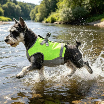 Pet Dog Cooling Harness Vest for Summer Walks