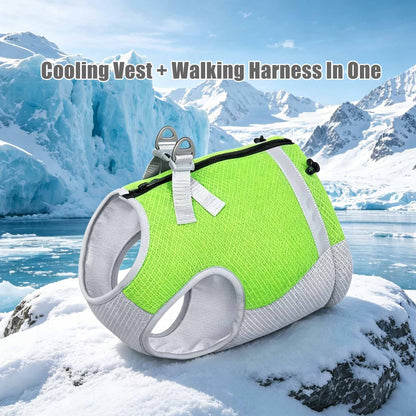 Pet Dog Cooling Harness Vest for Summer Walks