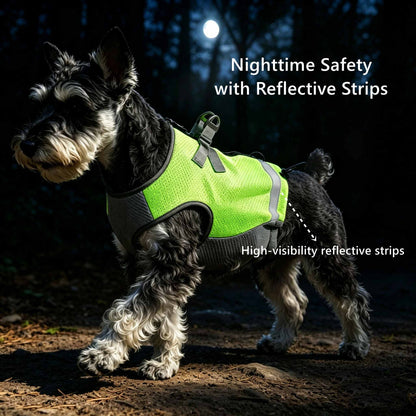Pet Dog Cooling Harness Vest for Summer Walks