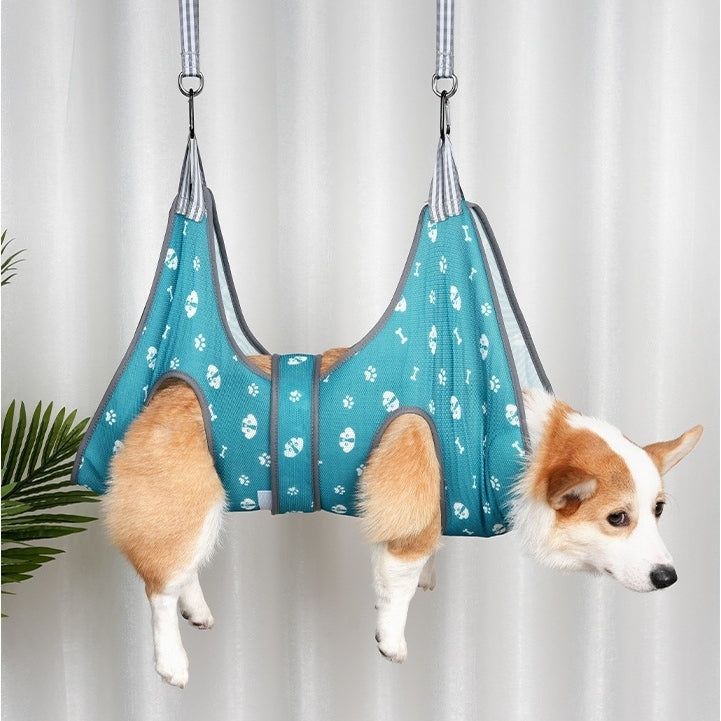 Dog in a blue hammock with paw print pattern against a white curtain background