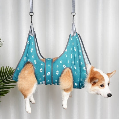 Dog in a blue hammock with paw print pattern against a white curtain background