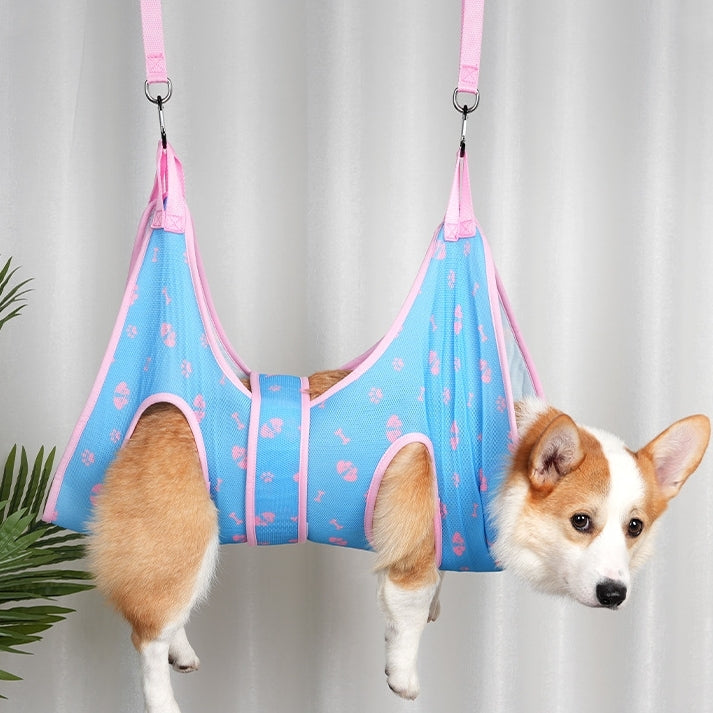 Dog in a blue and pink pet Grooming Hammock Harness against a plain background