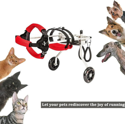 Pet Wheelchair With 2 Wheels