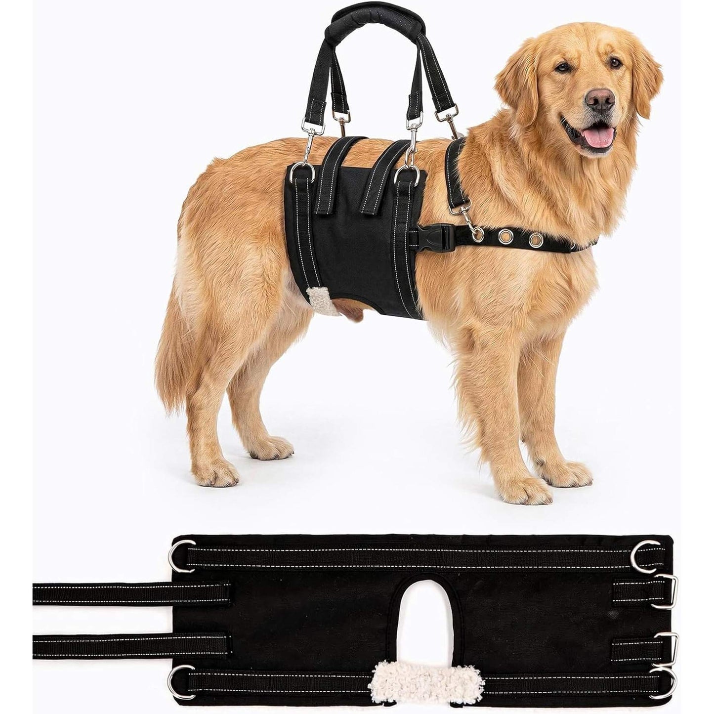 Rear Support Harness for Dogs With Weak Back Legs