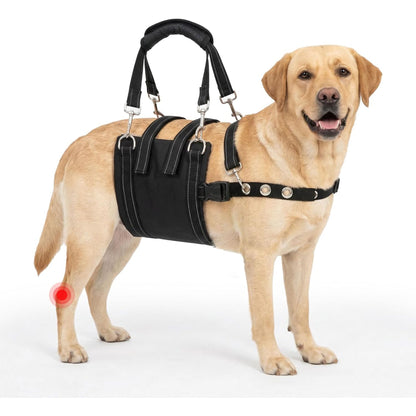 Rear Support Harness for Dogs With Weak Back Legs