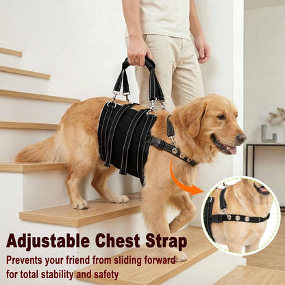 Rear Support Harness for Dogs With Weak Back Legs