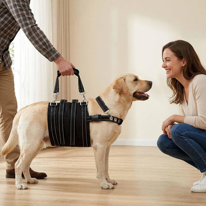 Rear Support Harness for Dogs With Weak Back Legs