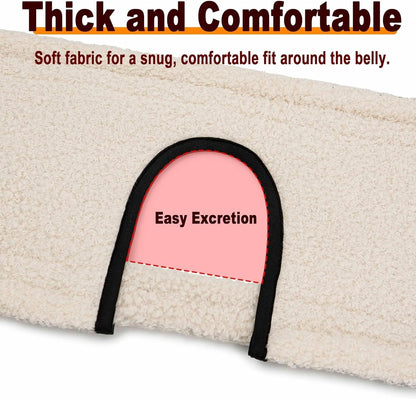 Rear Support Harness for Dogs With Weak Back Legs