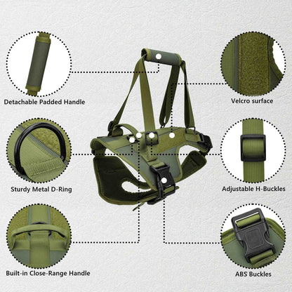 Rehabilitation Rear Lift Harness for Senior & Disabled Dogs