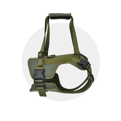 Rehabilitation Rear Lift Harness for Senior & Disabled Dogs