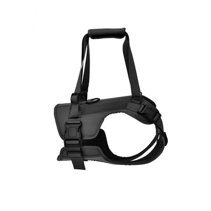 Rehabilitation Rear Lift Harness for Senior & Disabled Dogs