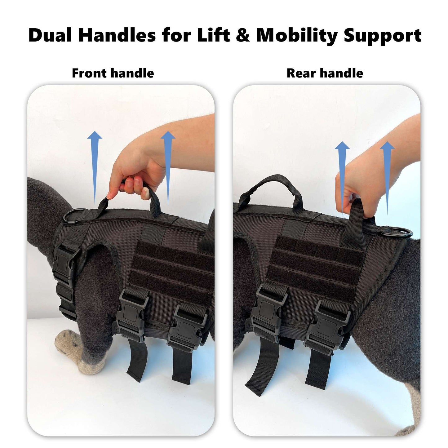 Dog harness with dual handles for lift and mobility support, showing front and rear handles.