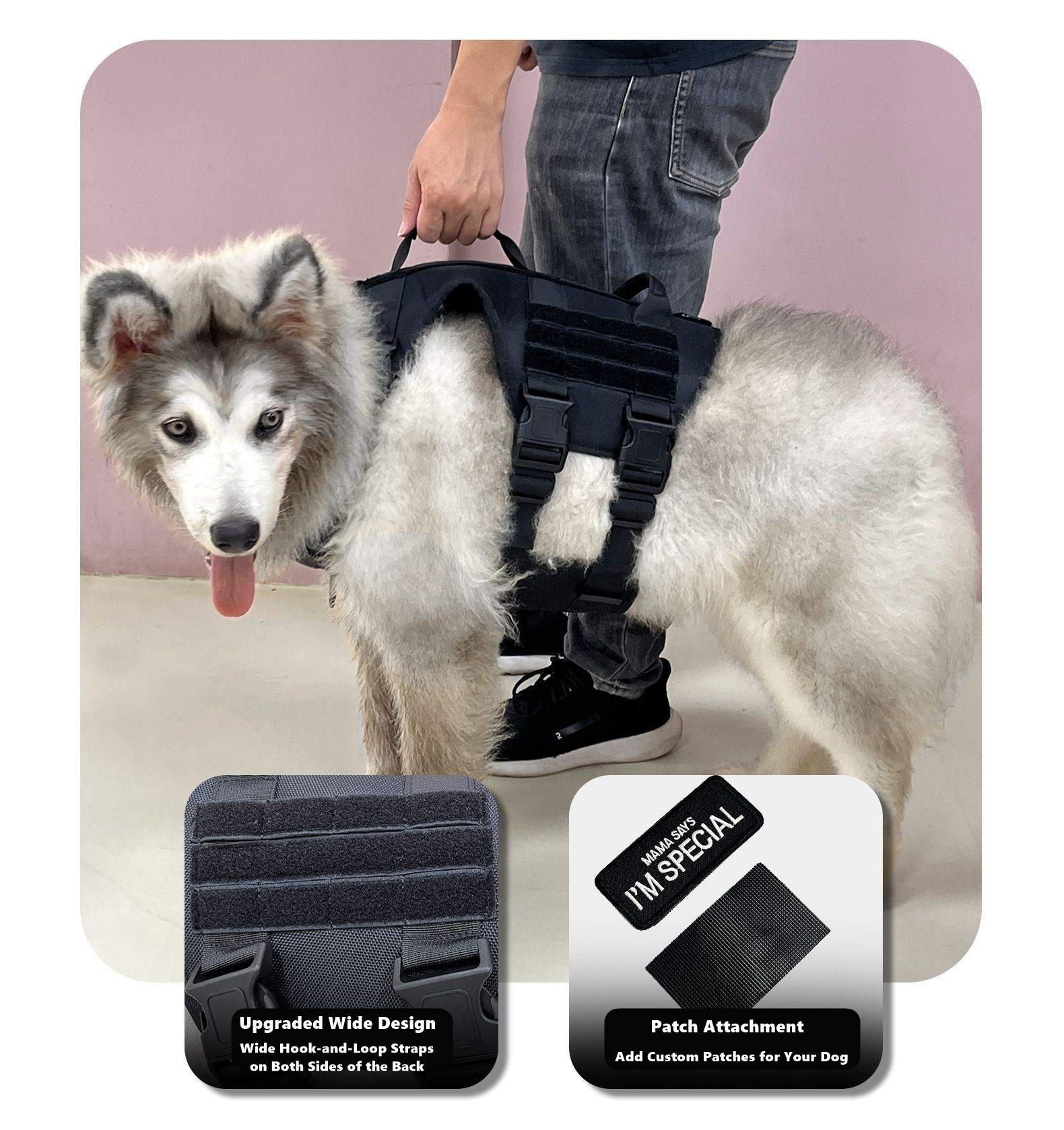 Dog wearing a black harness with accessories on a light pink background
