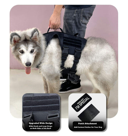 Dog wearing a black harness with accessories on a light pink background