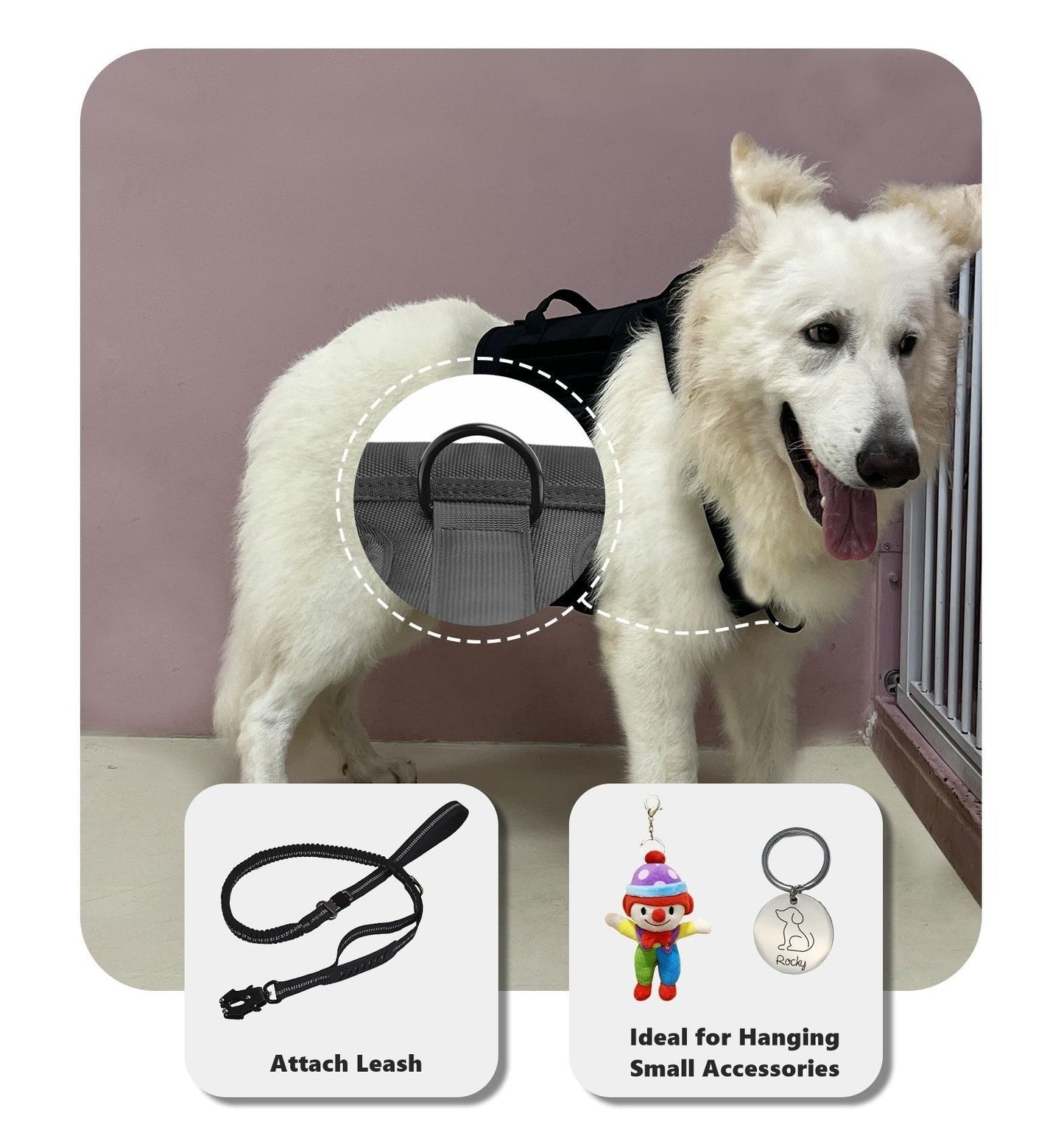 Dog wearing a black harnss vest with accessories displayed below on a white background