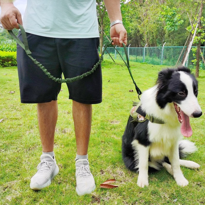 Anti-Pull Tactical Dog Leash with Shock-Absorbing Bungee Support