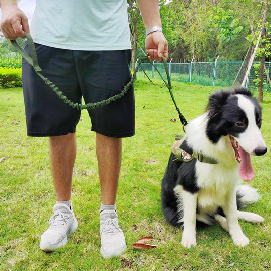 Anti-Pull Tactical Dog Leash with Shock-Absorbing Bungee Support