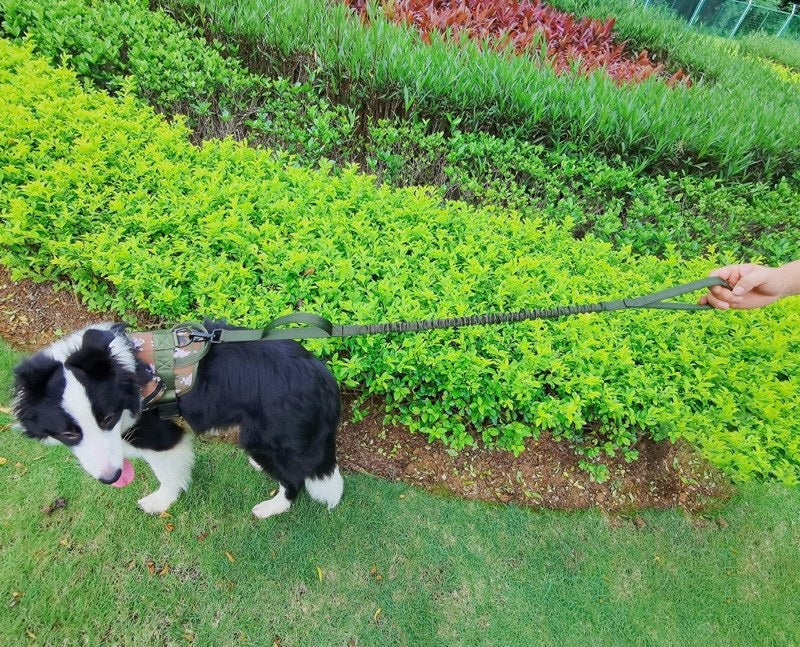 Anti-Pull Tactical Dog Leash with Shock-Absorbing Bungee Support