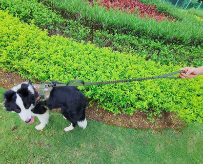 Anti-Pull Tactical Dog Leash with Shock-Absorbing Bungee Support