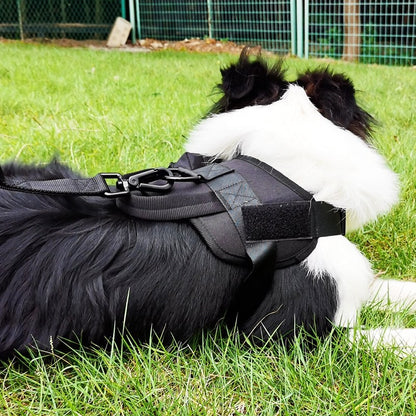 Anti-Pull Tactical Dog Leash with Shock-Absorbing Bungee Support