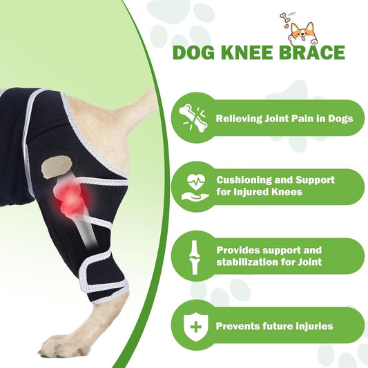 Universal Dog Knee & Elbow Brace